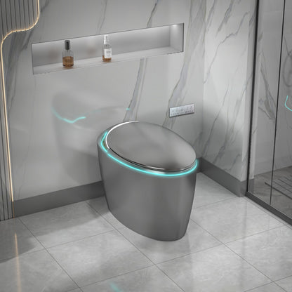 EP Exbrite Unique Smart Toilet with Bidet Built In, Intelligent One Piece Toilet For Modern Bathroom, Auto Open/Close Seat, Foot Sensor, LED Display,Night Light, Warm Water & Dryer,Grey