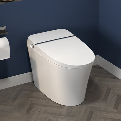 ExBrite Smart Toilet,Bidet with Self-Cleaning Nozzle,Dual Flush 1-1.28 GPF,Clear at room temperature,Knob Control,Power Outage Flushing,Soft Close