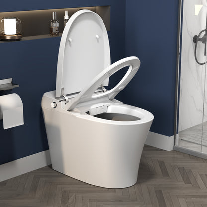 ExBrite Smart Toilet,Bidet with Self-Cleaning Nozzle,Dual Flush 1-1.28 GPF,Clear at room temperature,Knob Control,Power Outage Flushing,Soft Close