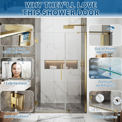 47-48" x 74" Pivot Frameless Shower Door,Brushed Gold,Easy clean|ExBrite Valor Series