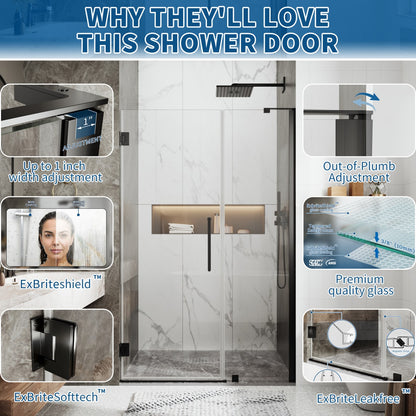 41-42" x 74" Pivot Frameless Shower Door,Matte Black,Easy clean|ExBrite Valor Series