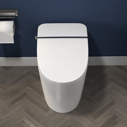 ExBrite Smart Toilet,Bidet with Self-Cleaning Nozzle,Dual Flush 1-1.28 GPF,Clear at room temperature,Knob Control,Power Outage Flushing,Soft Close