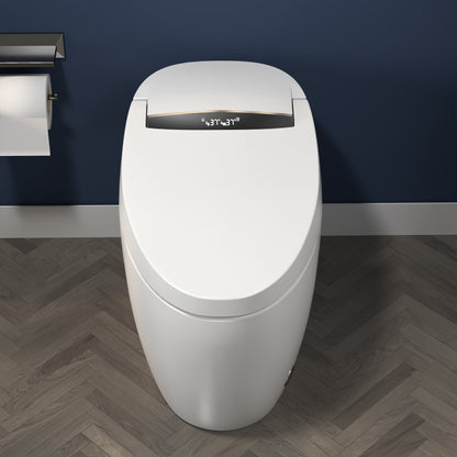 ExBrite Smart Toilets with Heated Bidet Seat Bidet toilet with Dryer and Warm Water,Portable toilet with bidet built.Intelligent Toilet Auto Open/Close Seat. Bidet toilet with Dryer and Warm Water