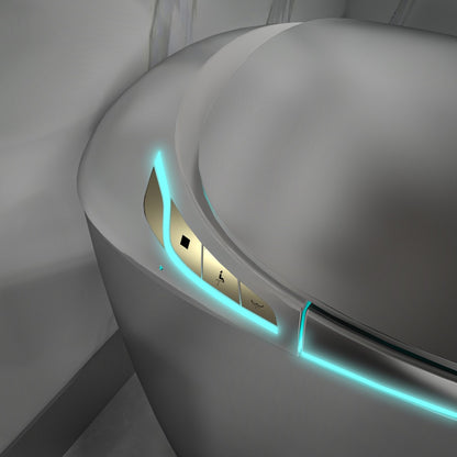 EP Exbrite Unique Smart Toilet with Bidet Built In, Intelligent One Piece Toilet For Modern Bathroom, Auto Open/Close Seat, Foot Sensor, LED Display,Night Light, Warm Water & Dryer,Grey