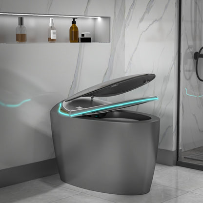 EP Exbrite Unique Smart Toilet with Bidet Built In, Intelligent One Piece Toilet For Modern Bathroom, Auto Open/Close Seat, Foot Sensor, LED Display,Night Light, Warm Water & Dryer,Grey