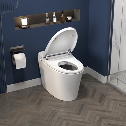 ExBrite Smart Toilet,Bidet with Self-Cleaning Nozzle,Dual Flush 1-1.28 GPF,Clear at room temperature,Knob Control,Power Outage Flushing,Soft Close