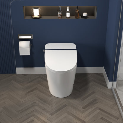 ExBrite Smart Toilet,Bidet with Self-Cleaning Nozzle,Dual Flush 1-1.28 GPF,Clear at room temperature,Knob Control,Power Outage Flushing,Soft Close