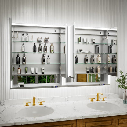 Ample 60 in LED Medicine Cabinet with Mirror and Shelves for Recessed or Surface Mount