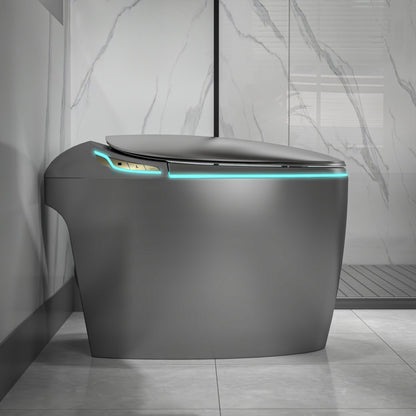 EP Exbrite Unique Smart Toilet with Bidet Built In, Intelligent One Piece Toilet For Modern Bathroom, Auto Open/Close Seat, Foot Sensor, LED Display,Night Light, Warm Water & Dryer,Grey