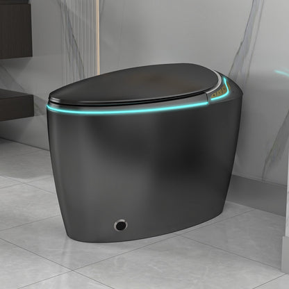 EP Exbrite Unique Smart Toilet with Bidet Built In, Intelligent One Piece Toilet For Modern Bathroom, Auto Open/Close Seat, Foot Sensor, LED Display,Night Light, Warm Water & Dryer, Black