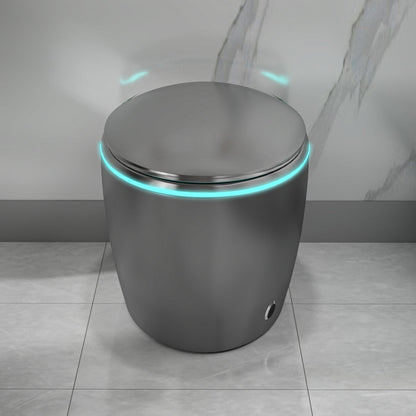 EP Exbrite Unique Smart Toilet with Bidet Built In, Intelligent One Piece Toilet For Modern Bathroom, Auto Open/Close Seat, Foot Sensor, LED Display,Night Light, Warm Water & Dryer,Grey