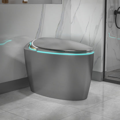 EP Exbrite Unique Smart Toilet with Bidet Built In, Intelligent One Piece Toilet For Modern Bathroom, Auto Open/Close Seat, Foot Sensor, LED Display,Night Light, Warm Water & Dryer,Grey