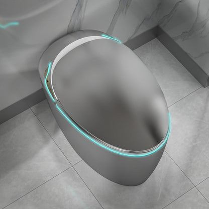 EP Exbrite Unique Smart Toilet with Bidet Built In, Intelligent One Piece Toilet For Modern Bathroom, Auto Open/Close Seat, Foot Sensor, LED Display,Night Light, Warm Water & Dryer,Grey