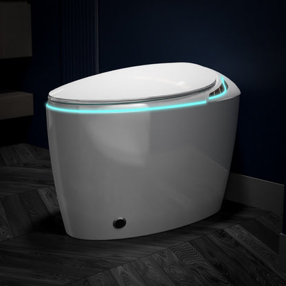EP Exbrite Unique Smart Toilet with Bidet Built In, Intelligent One Piece Toilet For Modern Bathroom, Auto Open/Close Seat, Foot Sensor, LED Display,Night Light, Warm Water & Dryer,White