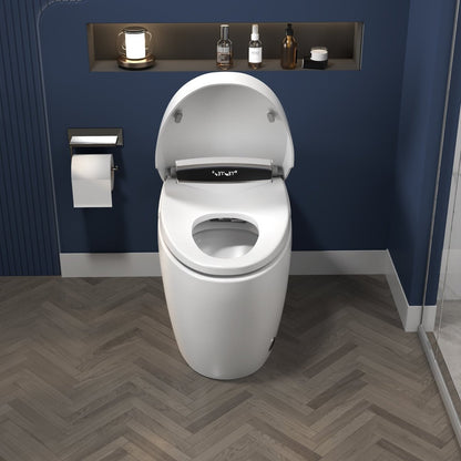 ExBrite Smart Toilets with Heated Bidet Seat Bidet toilet with Dryer and Warm Water,Portable toilet with bidet built.Intelligent Toilet Auto Open/Close Seat. Bidet toilet with Dryer and Warm Water - ExBriteUSA