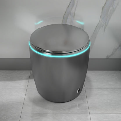 EP Exbrite Unique Smart Toilet with Bidet Built In, Intelligent One Piece Toilet For Modern Bathroom, Auto Open/Close Seat, Foot Sensor, LED Display,Night Light, Warm Water & Dryer,Grey
