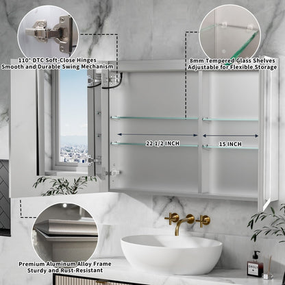Rim-s medicine cabinet aluminum frame and cabinet construction detail