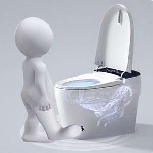 ExBrite 1.28GPF Smart Toilets with Heated Bidet Seat Portable toilet with bidet built in AUTO White