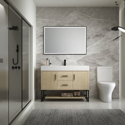 ExBrite 48 Inch Bathroom Vanity Freestanding Design With Resin Sink
