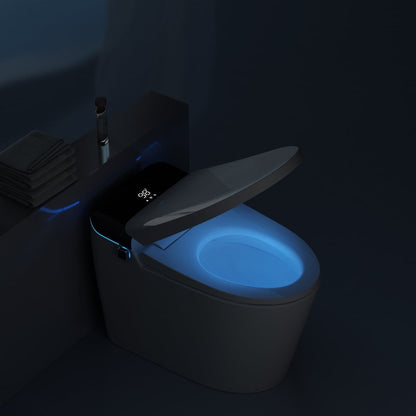 ExBrite Smart Toilet With Auto Flush,Foot Sensor Flush,Heated Seat,Warm Water,Warm Air Drying,Remote Control
